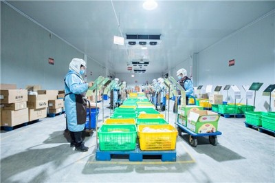 淳百味 傳承與創新并舉，邁入沙縣小吃食品經營新征程