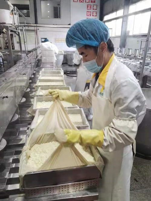 誠(chéng)信經(jīng)營(yíng) 安陽(yáng)可旺食品打造放心豆腐品牌之路